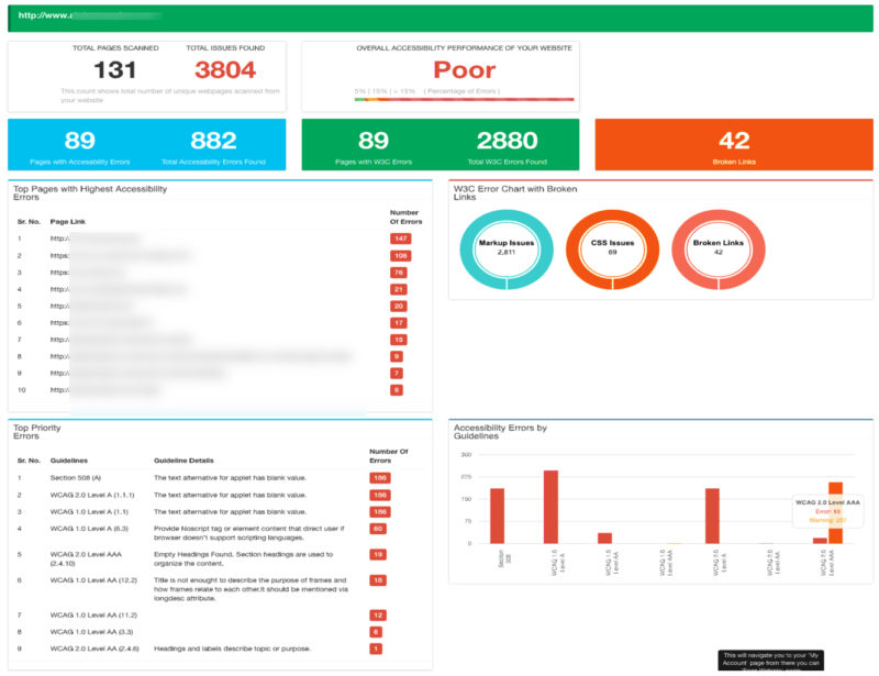 ADA Web Compliance Team Summary Report